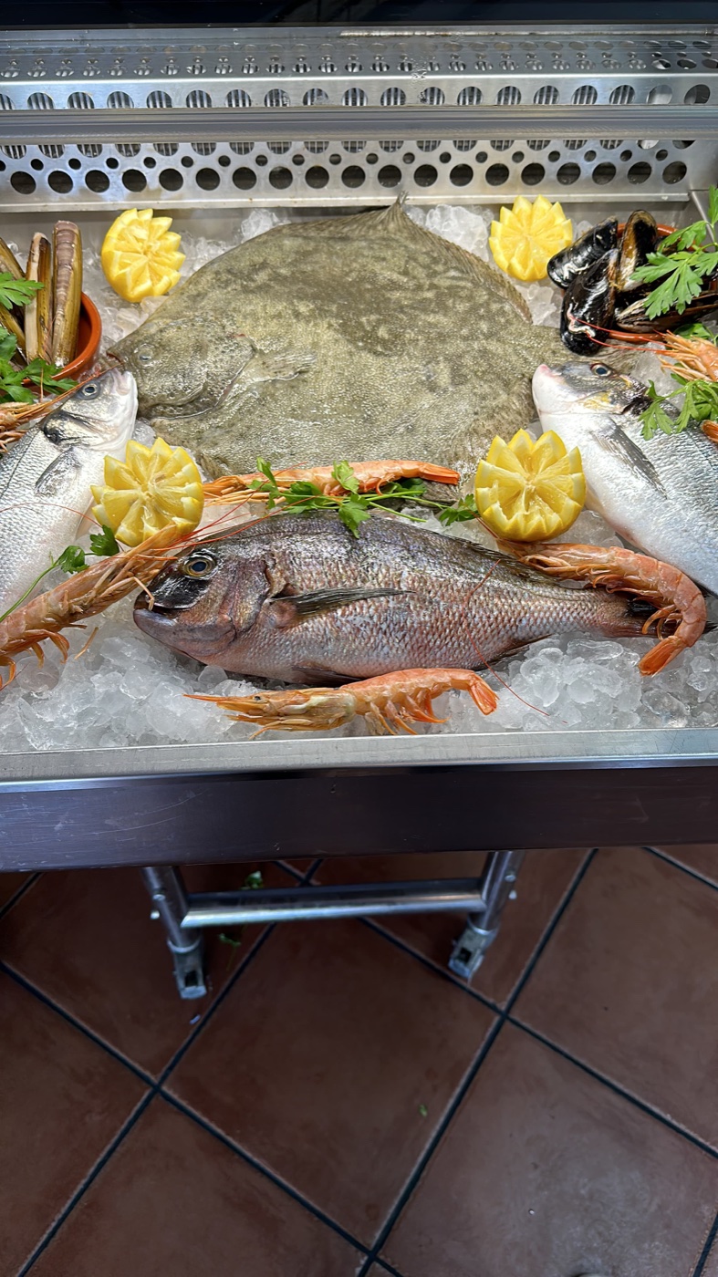 Turbot, bream, prawns and mussels on the ice counter