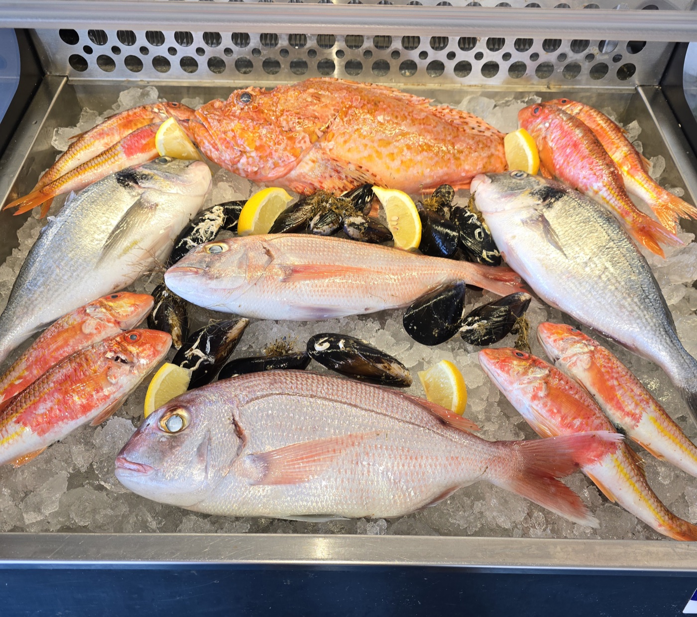 Scorpion fish, red mullet and bream on ice with lemon